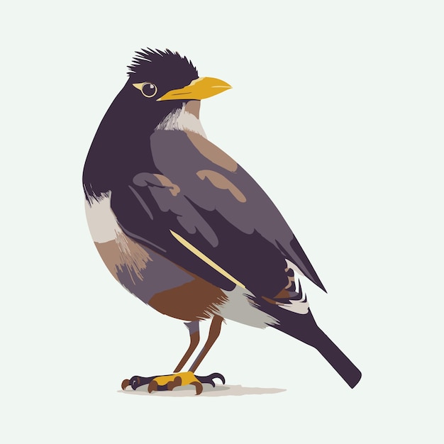 Vektor vektor süßer myna-cartoon-stil