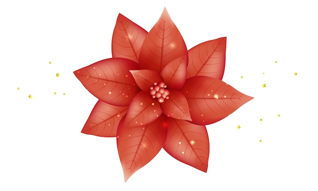 Vektor traditionelle Weihnachtssternblume mit grünen Blättern und roten Blütenblättern, blühende Pflanze isoliert