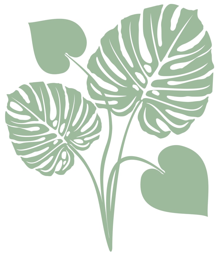 Vektor weiche grüne Zusammensetzung aus dekorativen Blättern von Monstera isoliert auf weißem Hintergrund.