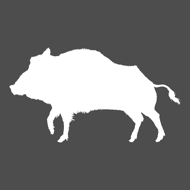 Vektor, wildschwein, weiß, silhouette, illustration