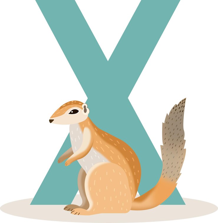 Vektor vektor x für xerus