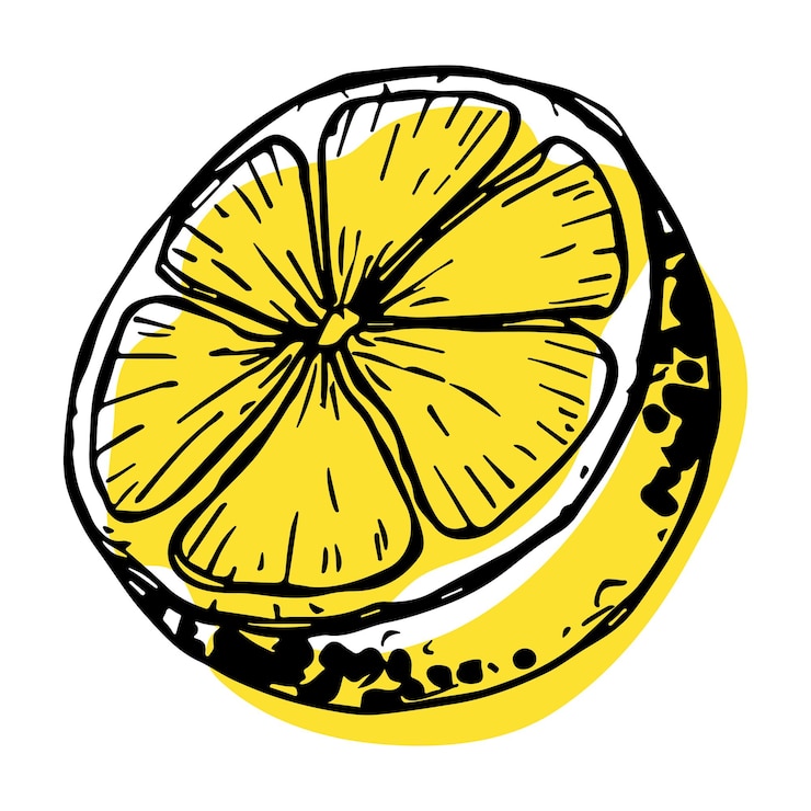 Vektor vektor-zitronen-cliparts handgezeichnetes zitrussymbol fruchtillustration für druck-webdesign-dekor