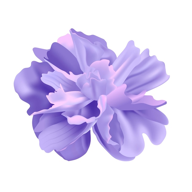 Vektorblumen auf weißem Hintergrunddesign
