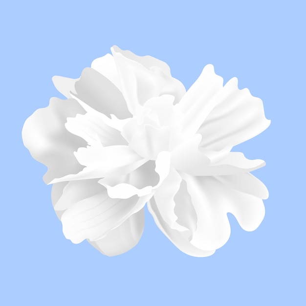 Vektorblumen auf weißem hintergrunddesign