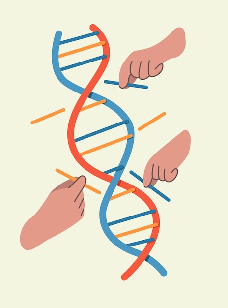 Vektordesignkonzept der DNA-Erblichkeit und -Genealogie