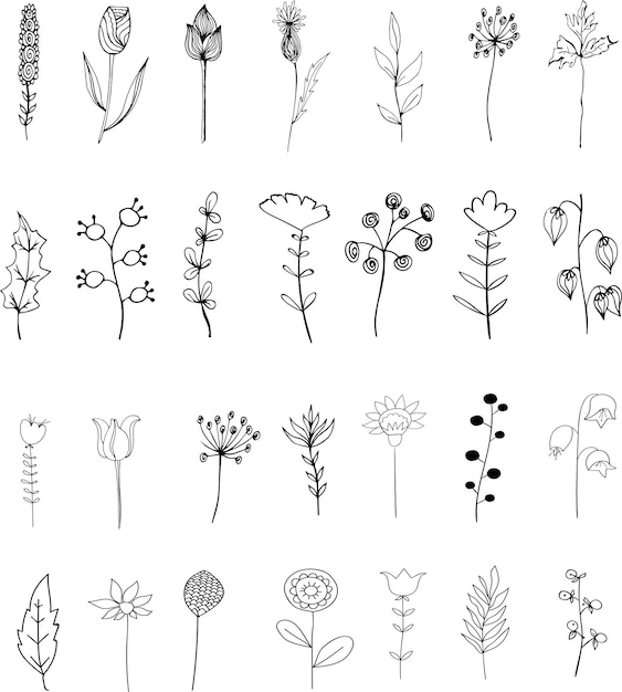 Vektorelemente. Set Blumen und Pflanzen. Skizzierter Stil. Botanisches Design für florale Kompositionen