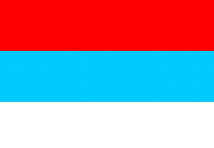 Vektor vektorflagge von montenegro