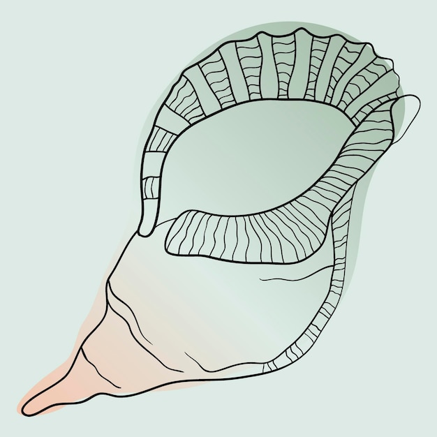 Vektor vektorgrafik im skizzenstil muschelmuster marine-set