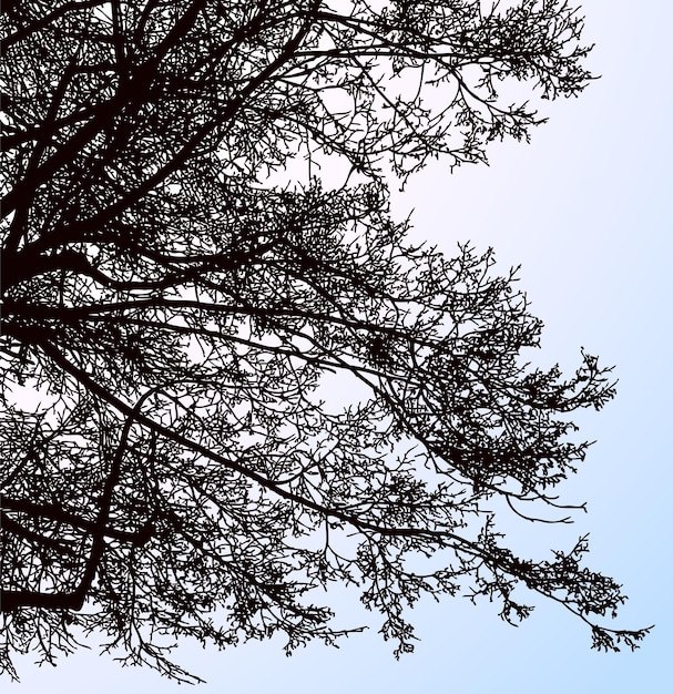 Vektorgrafik von Silhouetten Ästen in der Wintersaison