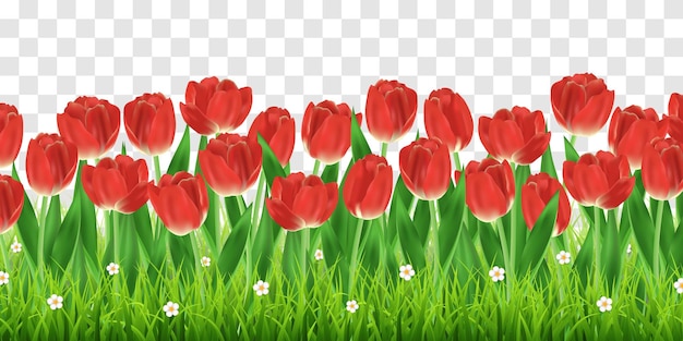 Vektorgrünes Gras und realistische Tulpen