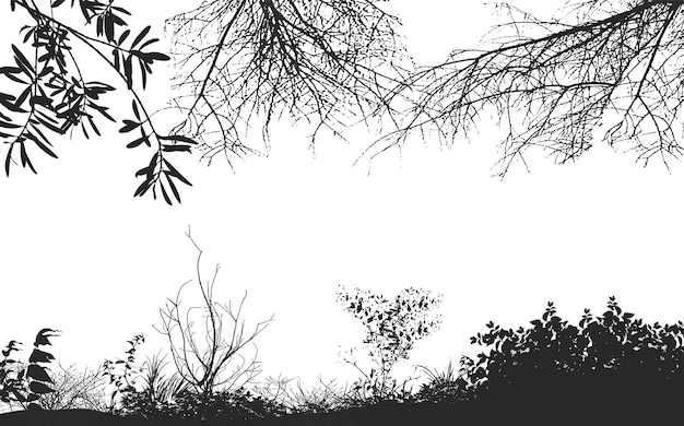 Vektorhintergrund realistischer Zweige eine Silhouette eines nackten trockenen Zweigs.
