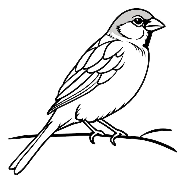 Vektorillustration aus einem Vogelmalbuch 4