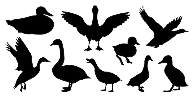 Vektorillustration der Entensilhouetten