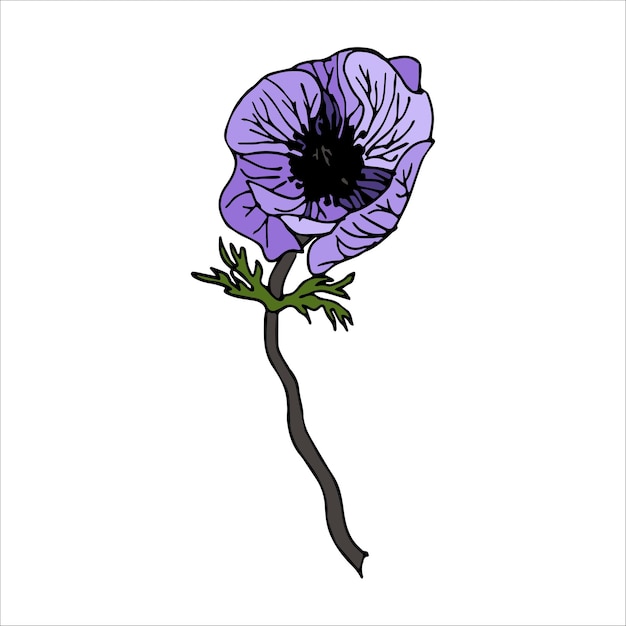 Vektorillustration der lila Anemone im Cartoon-Stil