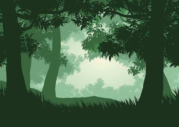 Vektorillustration der nebligen Waldsilhouette