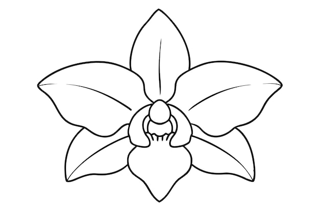 Vektorillustration der Orchideenblumenlinie