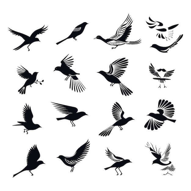 Vektor vektorillustration der sammlung von vogelsilhouetten