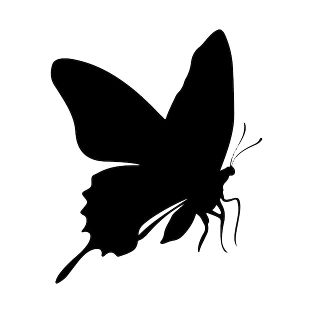 Vektorillustration der Schmetterlingssilhouette