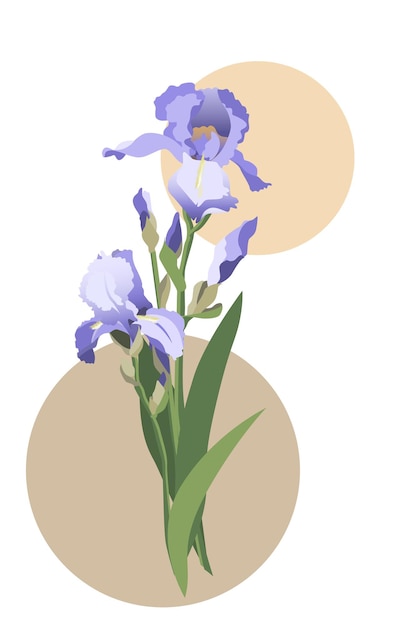 Vektor vektorillustration des blumenstraußes der blauen iris mit blättern und stängeln. isoliert auf weißem hintergrund