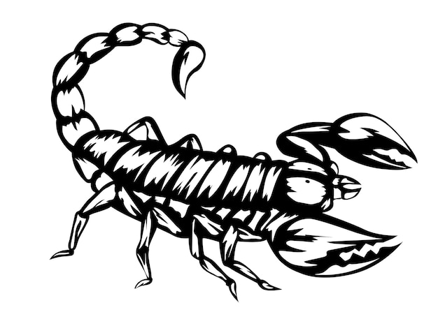 Vektorillustration des schwarzen Skorpions
