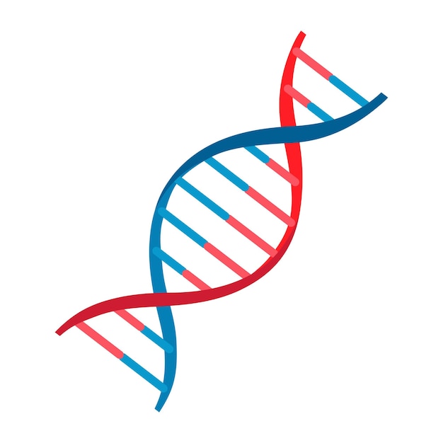 Vektorillustration DNA-Molekül-Symbol isoliert auf weißem Hintergrund