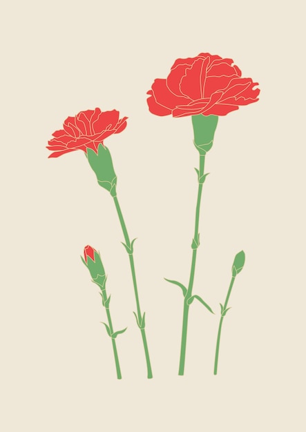 Vektor vektorillustration einer nelkenblume