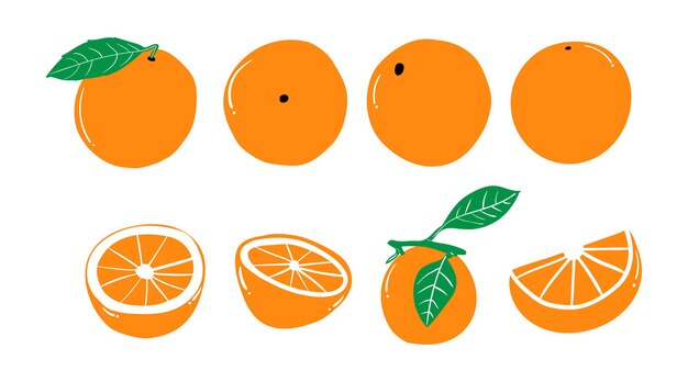 Vektor vektorillustration einer sammlung von orangenfrüchten