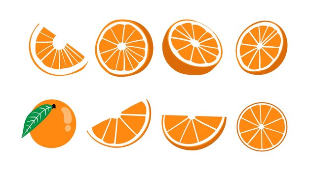 Vektorillustration einer sammlung von orangenfrüchten