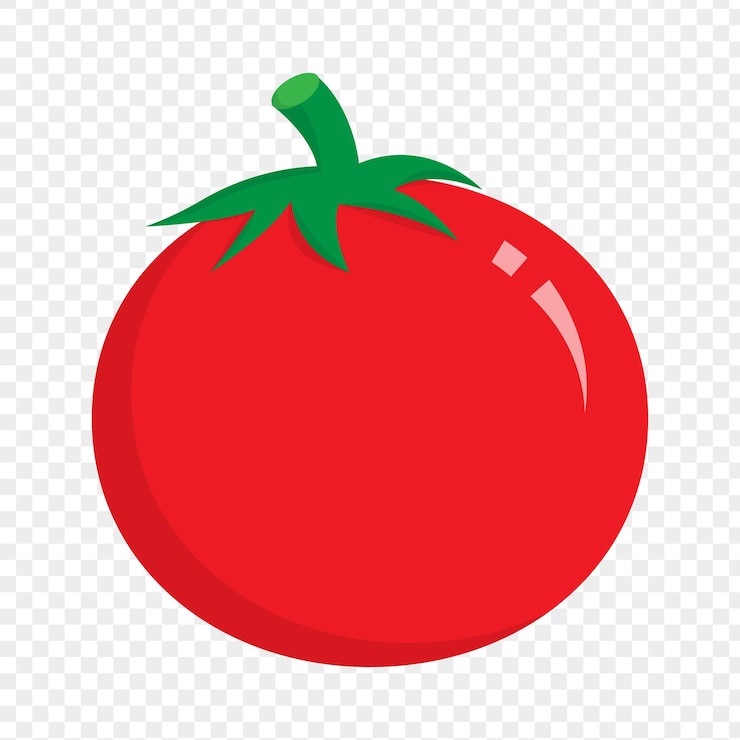 Vektor vektorillustration einer tomate auf durchsichtigem hintergrund