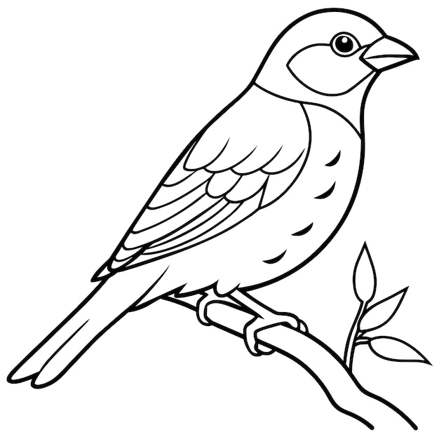 Vektorillustration für ein Vogelmalbuch 15