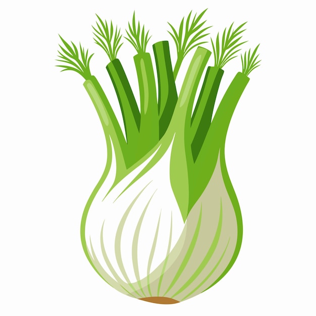 Vektorillustration im Cartoon-Stil von Fennel Clipart