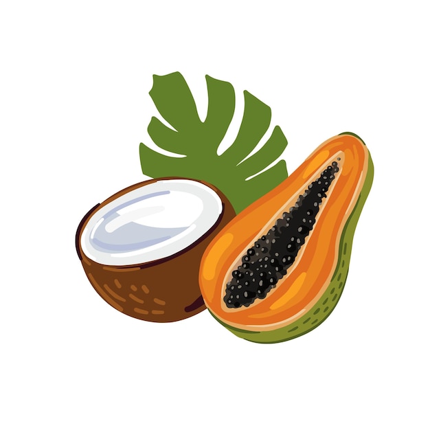 Vektorillustration tropischer früchte vektor-kokosnuss-papaya und palmblatt isolierte zusammensetzung