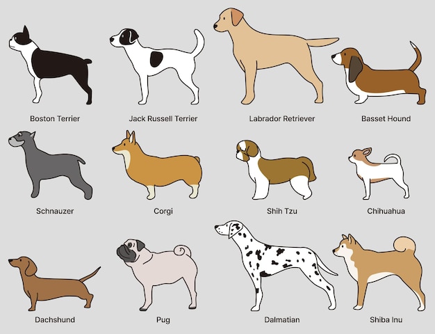 Vektorillustration von 12 arten von hunde-iconen