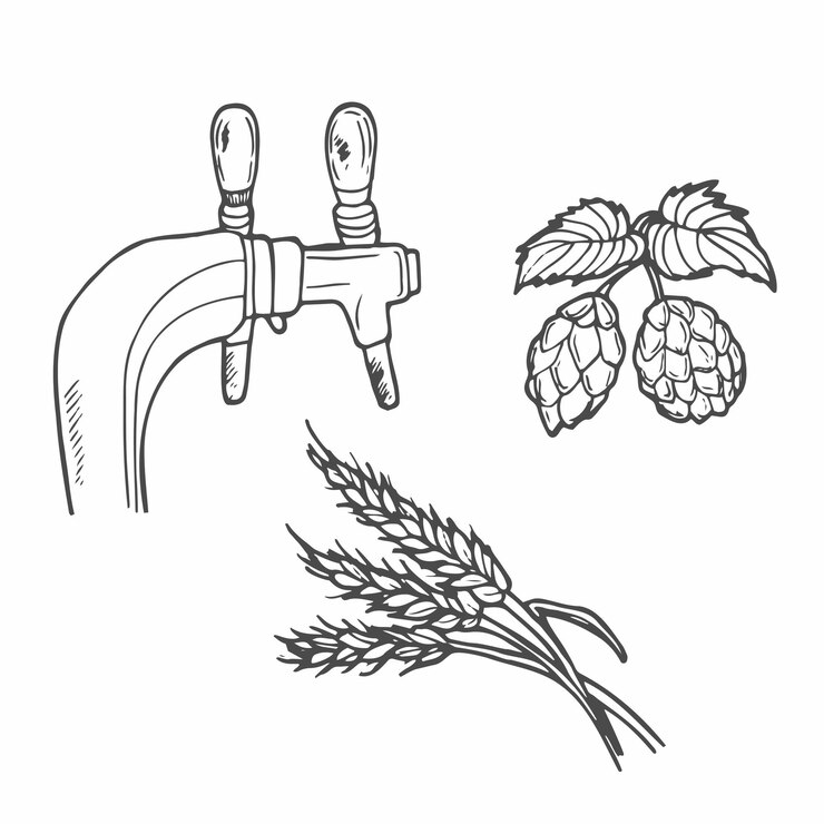 Vektor vektorillustration von bier und malz craft-bierverpackungsillustration vintage-elemente
