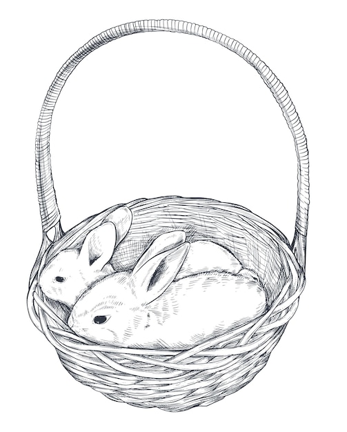 Vektor vektorillustration von handgezeichneten kaninchen im korb. realistische skizze osterillustration in schwarz-weiß-farben