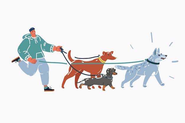 Vektorillustration von professionellem Hundespaziergang Ein Mann geht mit einem Haustier spazieren