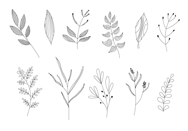 Vektorillustrationen eine Reihe von grafischen Blumenpflanzen 11 handgezeichnet