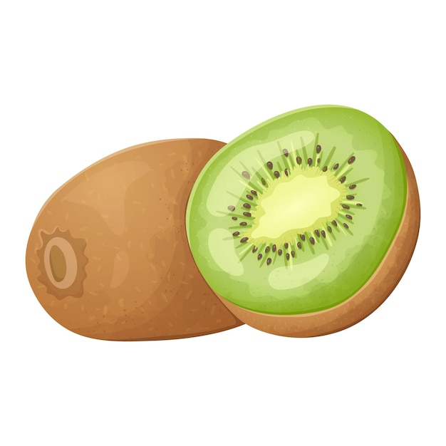 Vektorisolierte darstellung einer realistischen ganzen und halbierten kiwi eine gesunde tropische vitaminfrucht