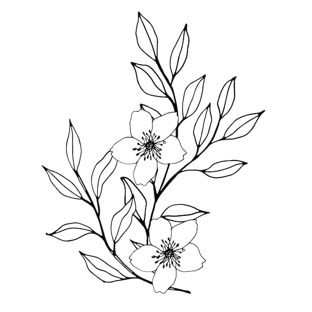 Vektorkomposition mit Blütenblättern und Zweigen Elegante Kunst für Dekoration Tinte Handzeichnung monochrome botanische Illustration für Hintergründe Vorlage für Hochzeitskarten Polygraph Logo Tattoo