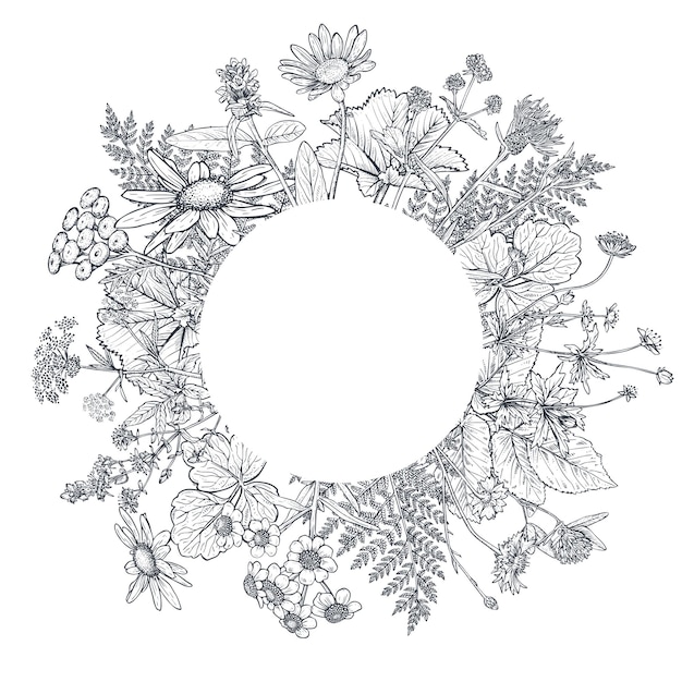 Vektorkreisrahmen mit schwarz-weißen, handgezeichneten Kräuter- und Wildblumenelementen