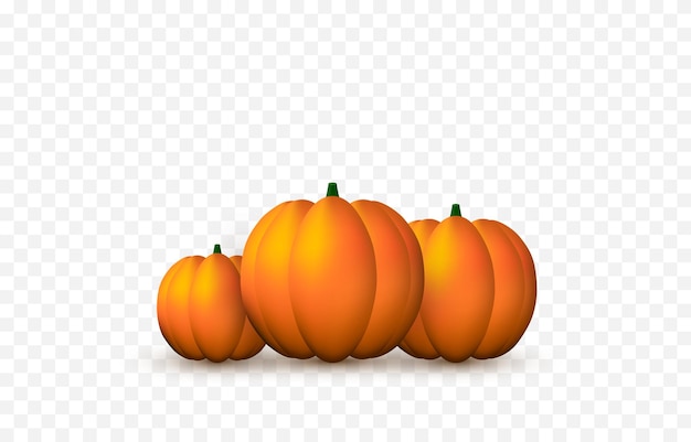 Vektorkürbisse auf einem isolierten transparenten hintergrund. kürbis für halloween png. halloween-objekte.