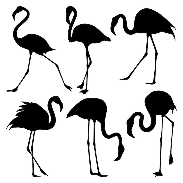 Vektorkunst mit Flamingo-Vogel-Silhouetten
