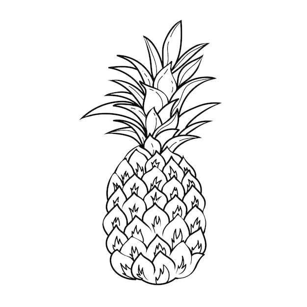 Vektorlinie illustration ananas auf einem weißen hintergrund