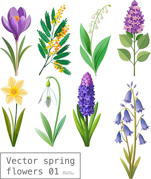 Vektor vektormenge von frühlingsblumen