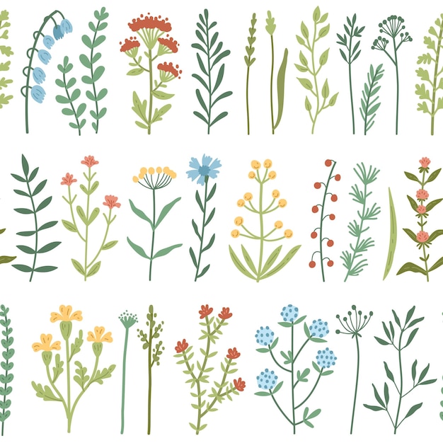 Vektornahtloses Muster mit Aquarell-Wildblumen und handgezeichneten Blumenkräutern des Grases