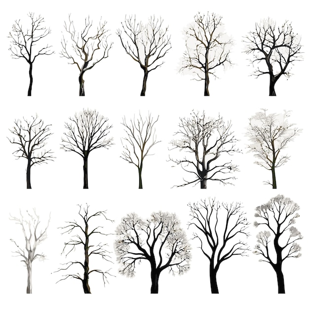 Vektorsammlung von Winterbäumen