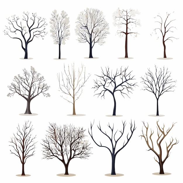 Vektor vektorsammlung von winterbäumen