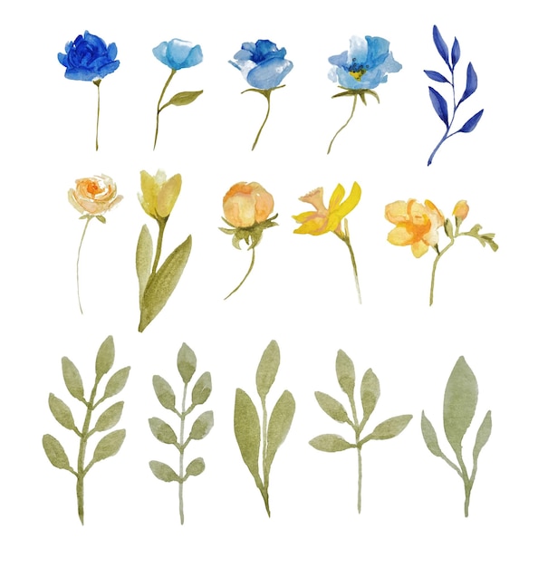 Vektorsatz blaue und gelbe aquarellblumen und -kräuter auf transparentem hintergrund