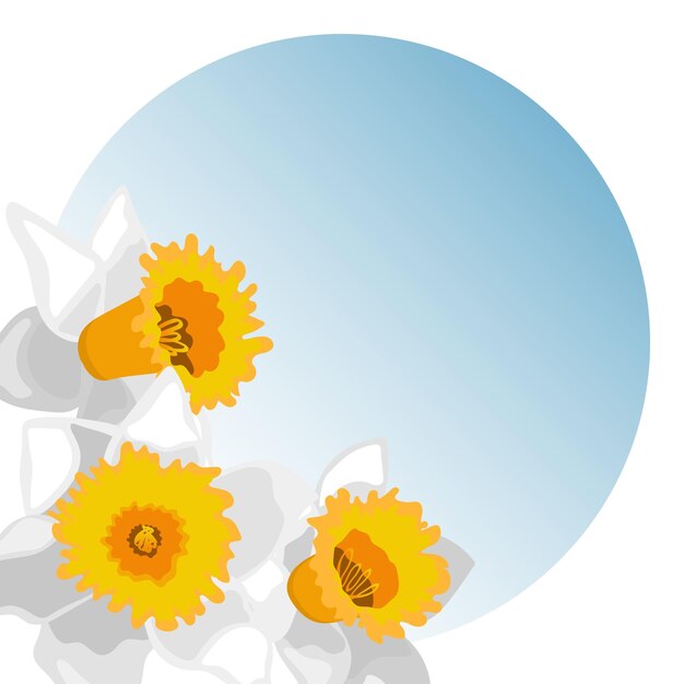 Vektorschablone der Grußkarte mit blühenden Narzissenblumen auf Steigungshintergrund