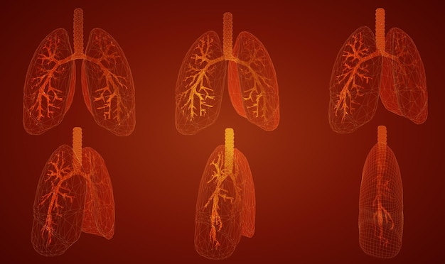 Vektorset 3d-lunge und bronchus auf farbigem hintergrund element für medizinisches design